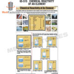 CHARTS-ZOOLOGY-SCIENCE (Chemical Reactivity of an Element) (MFCH-9)
