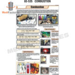CHARTS-ZOOLOGY-SCIENCE (Combustion) (MFCH-9)