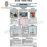CHARTS-ZOOLOGY-SCIENCE (Fossil Fuels) (MFCH-9)